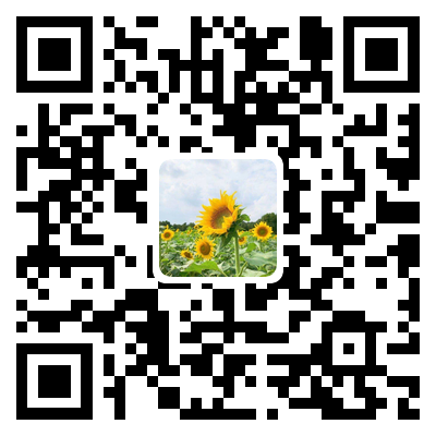 逆风奔跑的向日葵